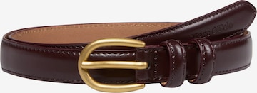 Ceinture Marc O'Polo en marron : devant