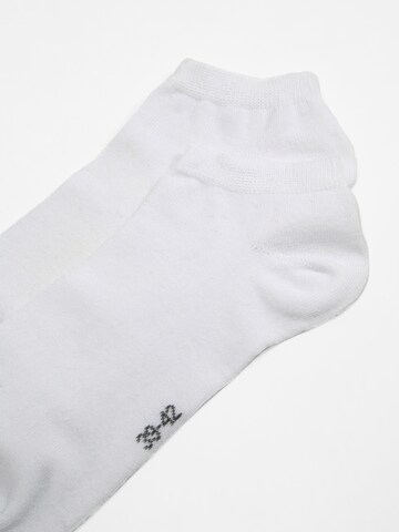 Albert Schäfer Socks in White