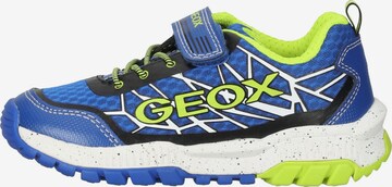 GEOX Sneaker in Blau