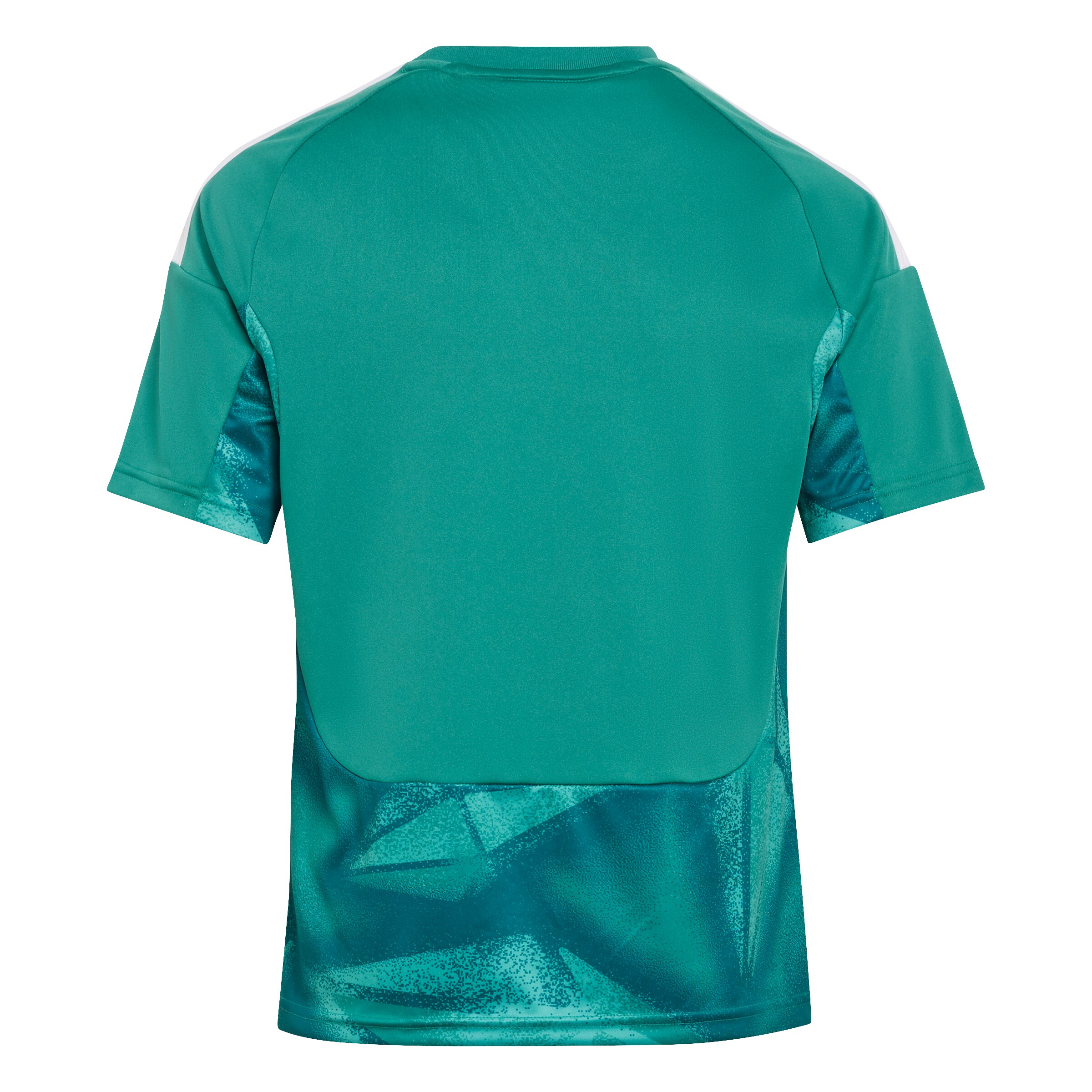 ADIDAS PERFORMANCE - Camiseta funcional 'DFB H GK JSY Y' en verde