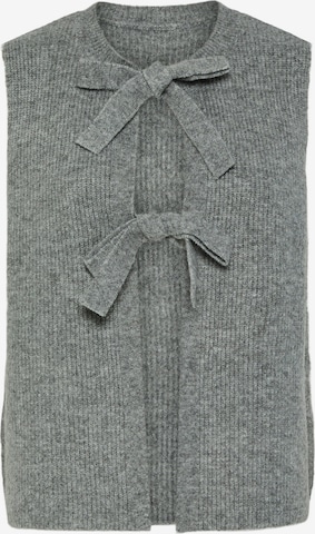 Cardigan 'PCSilly' PIECES en gris : devant