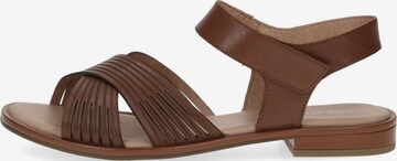 CAPRICE Sandalen met riem in Bruin