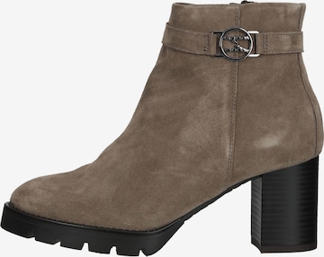 Bottines IGI&CO en marron