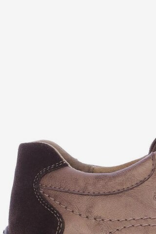 GABOR Sneakers & Trainers in 37,5 in Brown