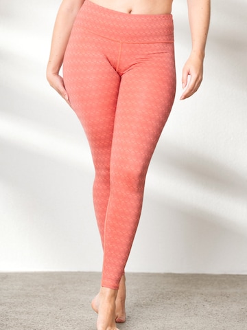 Hey Honey Skinny Leggings in Orange