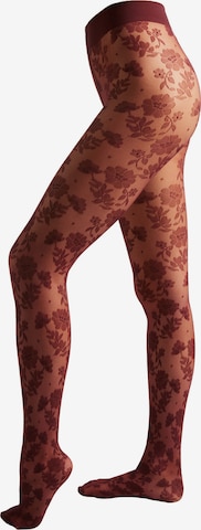 CALZEDONIA Tights in Red: front