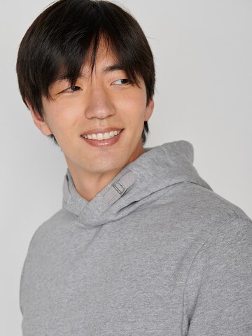 GREENBOMB Sweatshirt in Grijs