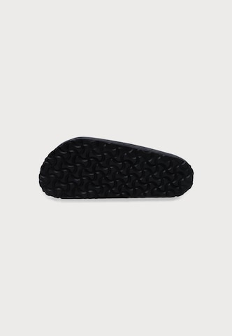 pelēks BIRKENSTOCK čības 'Amsterdam'