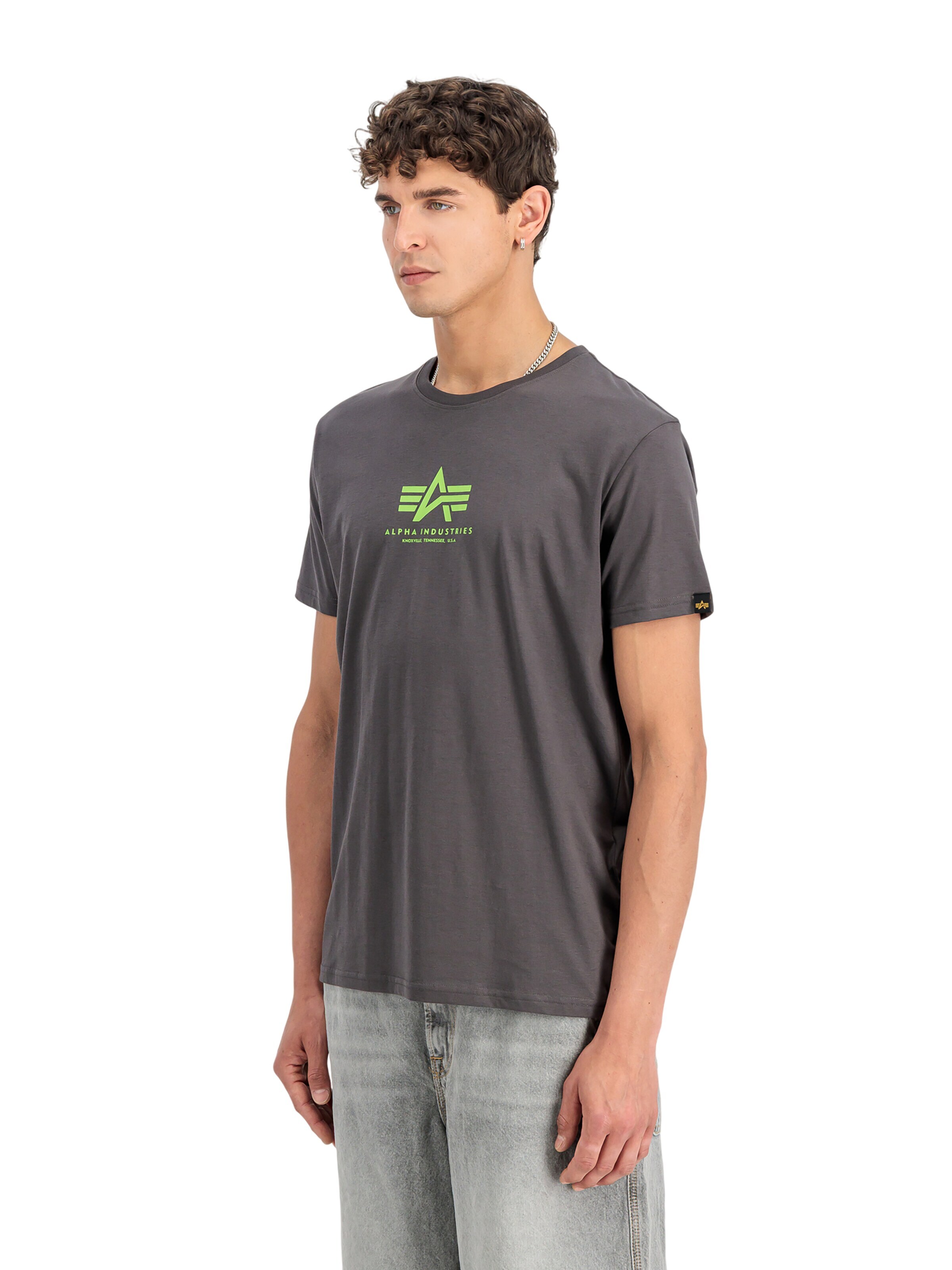 ALPHA INDUSTRIES Shirt 'Basic Mid Logo' in Grey: front