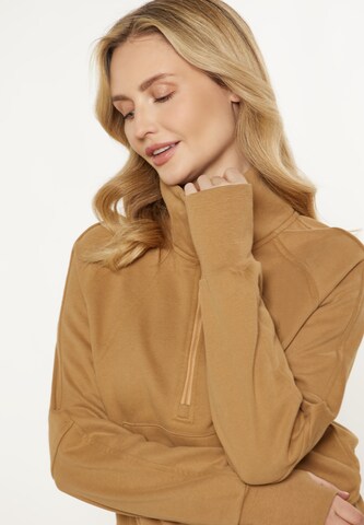 usha BLUE LABEL - Sudadera en marrón