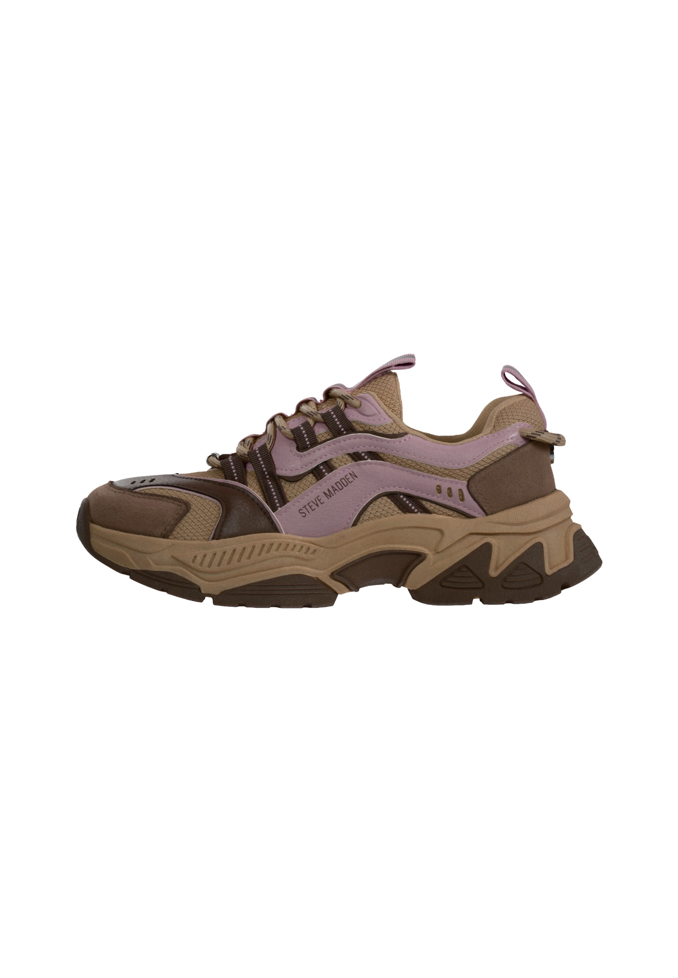 STEVE MADDEN - Sapatilhas baixas 'Animates-E' em castanho: frente