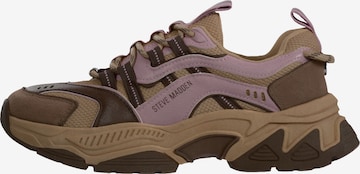 STEVE MADDEN - Sapatilhas baixas 'Animates-E' em castanho: frente