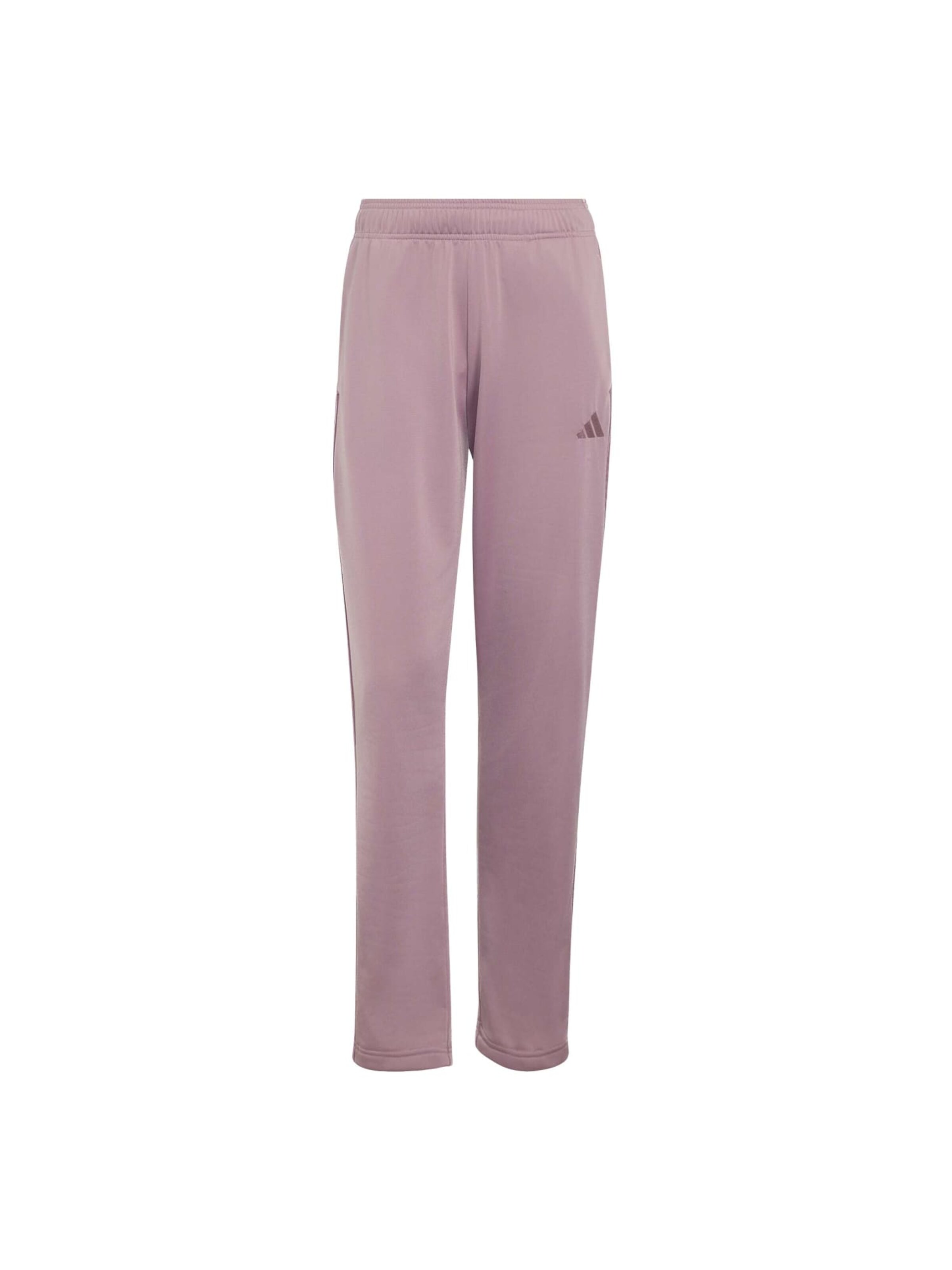 Survêtement 'Dayready' ADIDAS SPORTSWEAR en violet