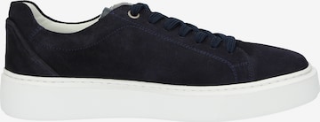 SIOUX Sneakers laag '003' in Blauw