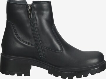 IGI&CO Ankle Boots in Black