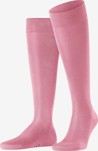 FALKE Knee High Socks 'Tiago' in Pink: front