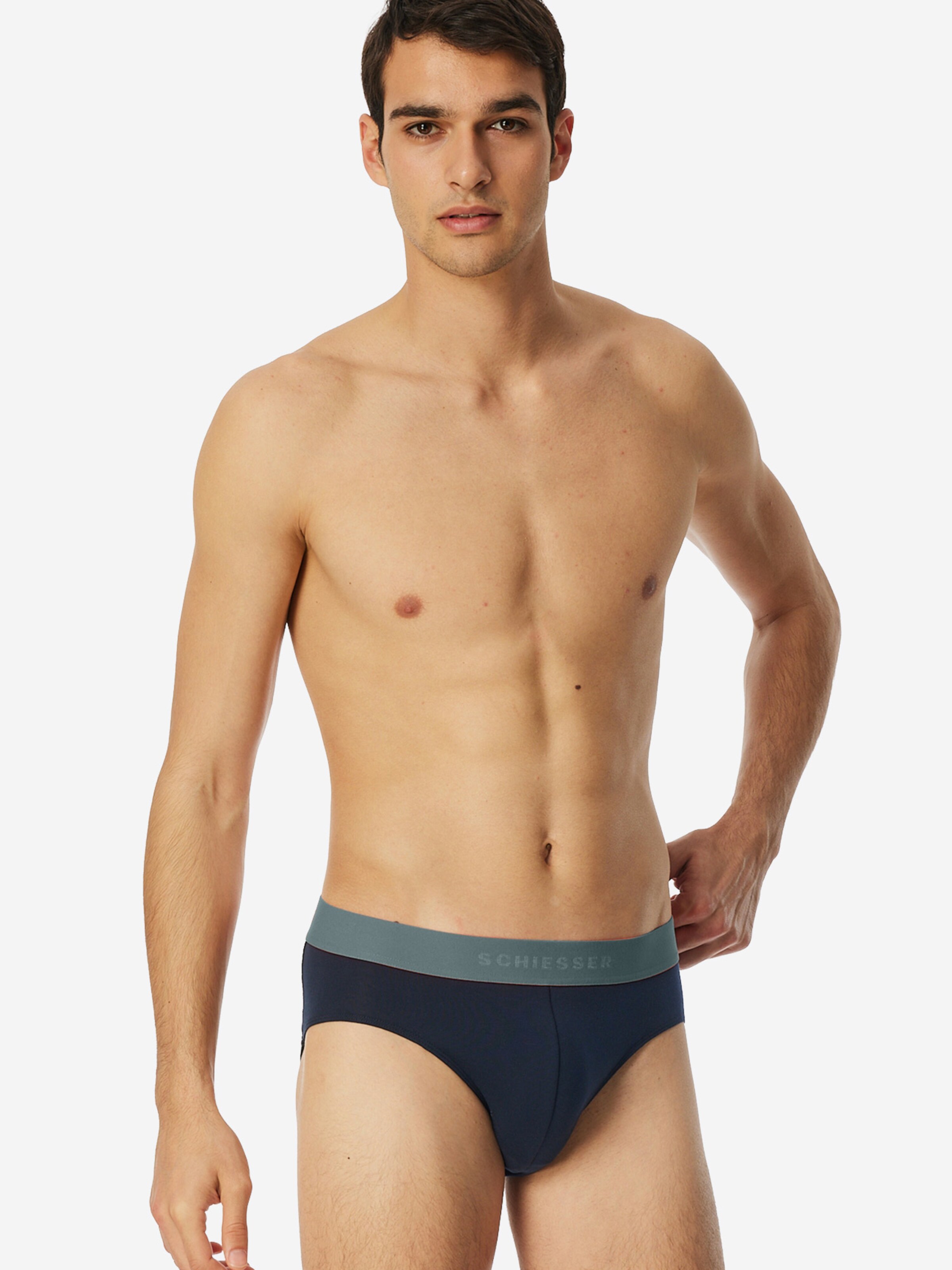 SCHIESSER Slip ' 95/5 Organic Cotton ' in Zwart