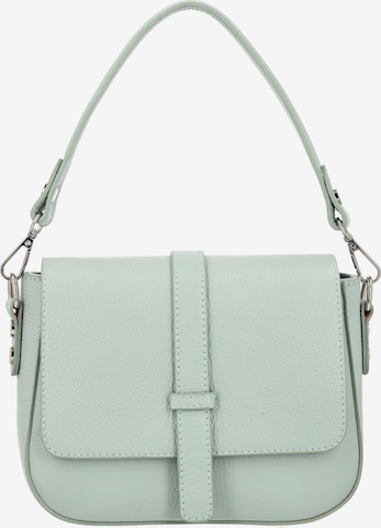 zils faina Pleca soma: no priekšpuses