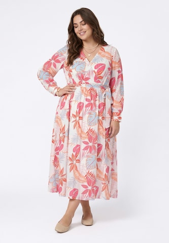 joella Dress in Mixed colors