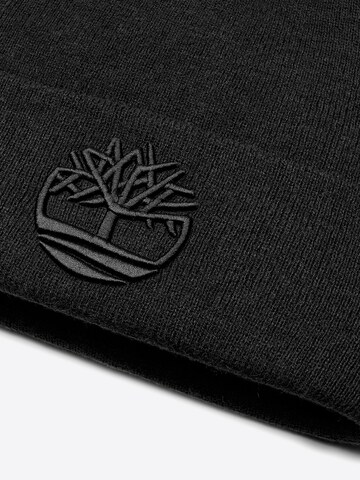 TIMBERLAND Kape | črna barva