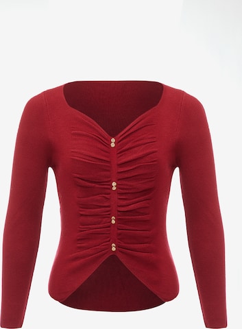 leo selection Sweater in Red: front