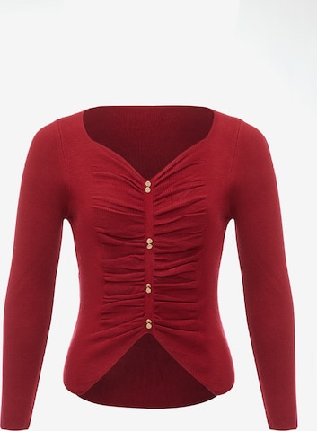 Pull-over leo selection en rouge : devant