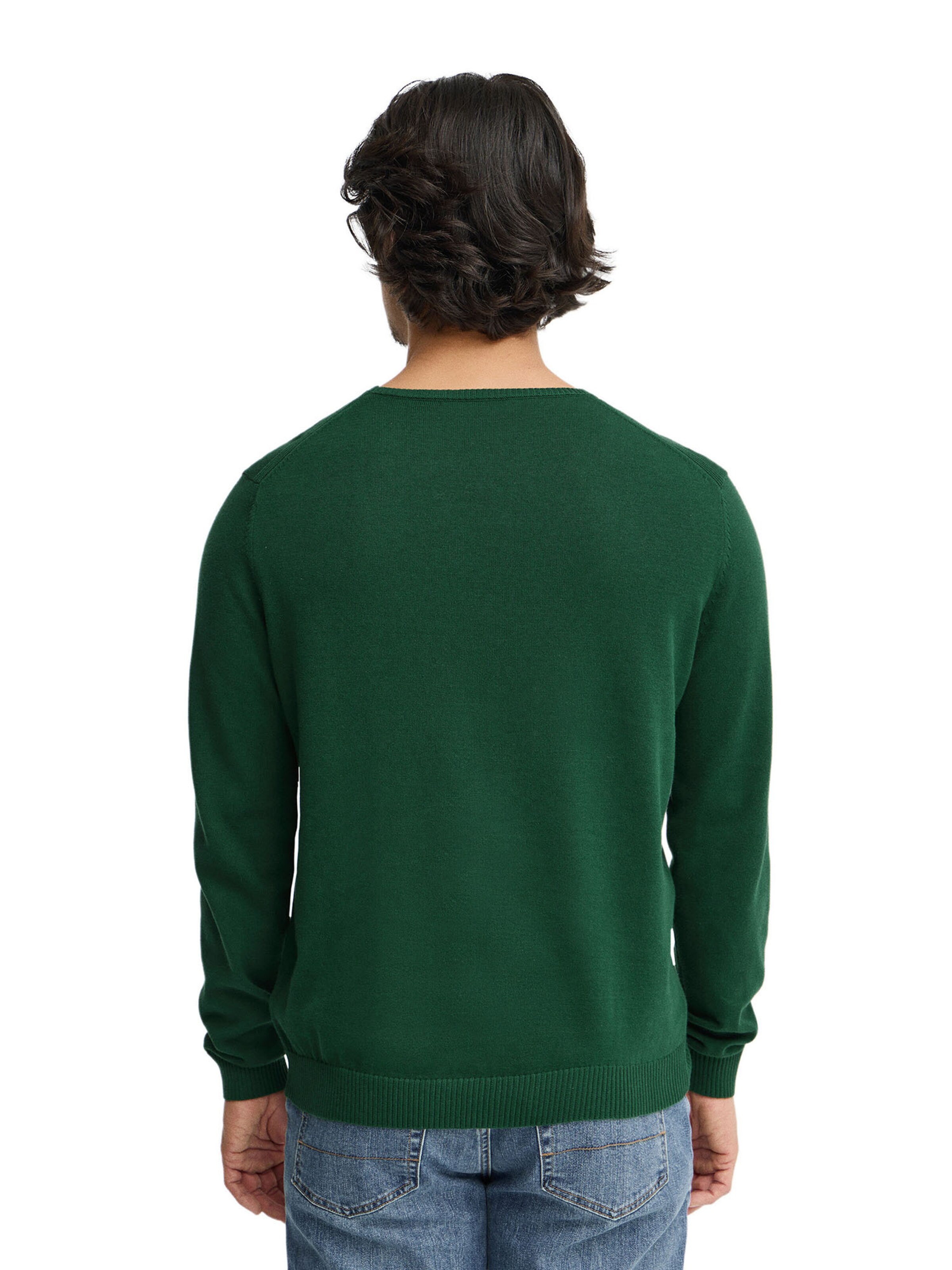 Polo Club Pullover in Grün