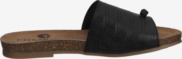 COSMOS COMFORT T-Bar Sandals in Black