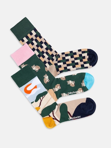 DillySocks Sokken 'Prairie Diary' in Gemengde kleuren