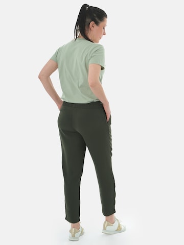 PANTONECLO Regular Trousers 'Pantoneclo Women's Trousers' in Green