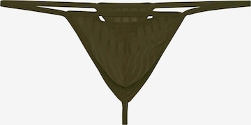 WOH Panty 'Personal Allure' in Green: front