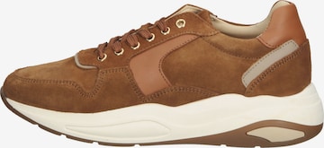 SCAPA Sneakers in Brown