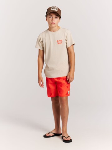PROTEST Shirt 'PRTAldos JR' in White