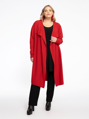 Yoek Knit Cardigan in Red