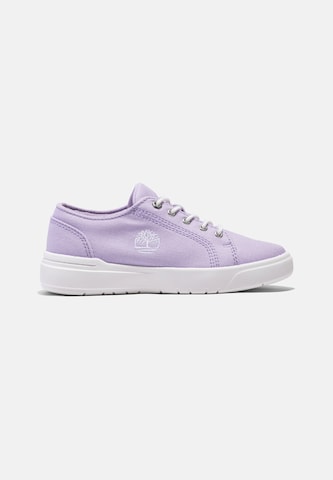 TIMBERLAND Sneakers 'Seneca Bay Oxford' in Purple