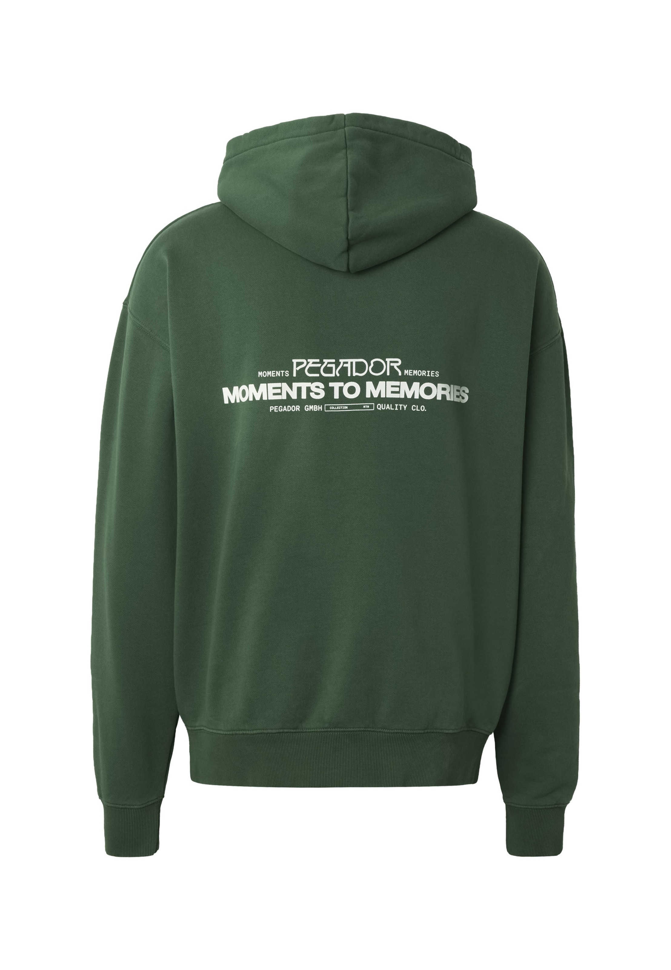 Pegador Sweatshirt 'Hattem' in Groen