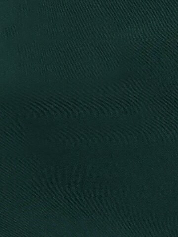Brookshire Shirt in Green
