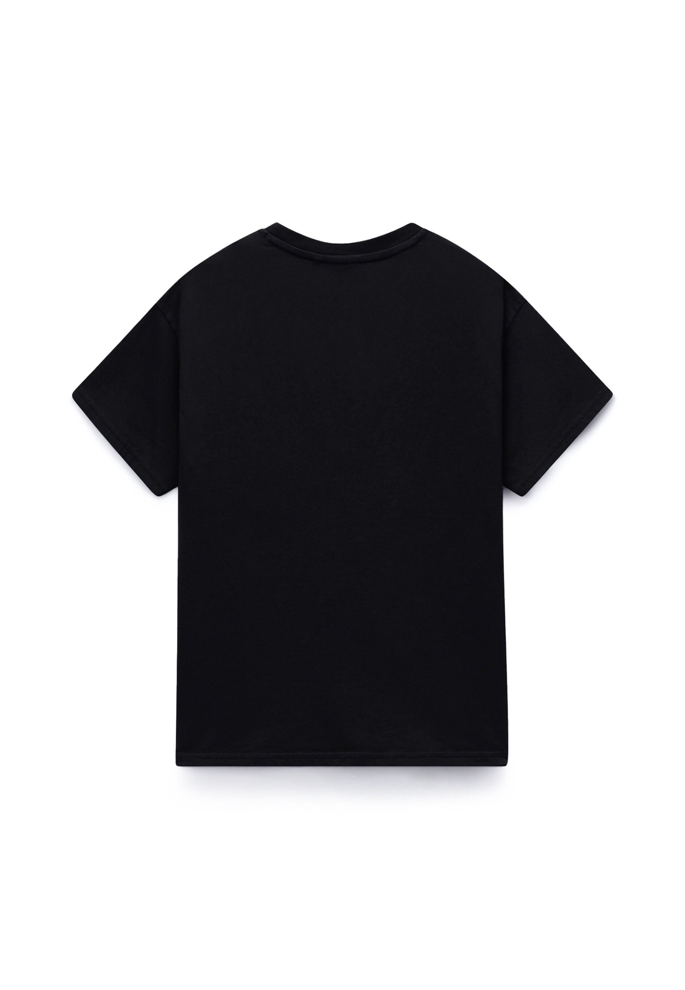NAPAPIJRI T-Shirt 'AURORA' in Schwarz