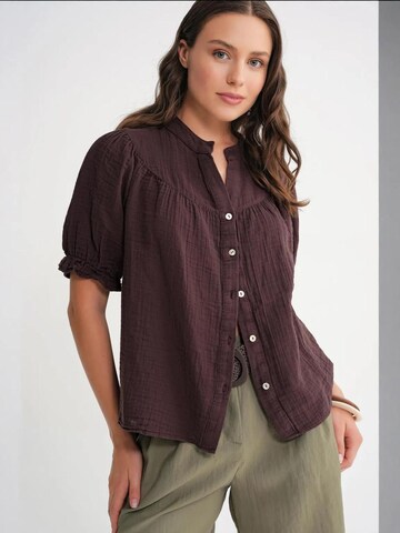 MixRay Blouse in Brown: front