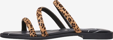 Pepe Jeans Pantolette 'HAYES WILD' in Braun: predná strana