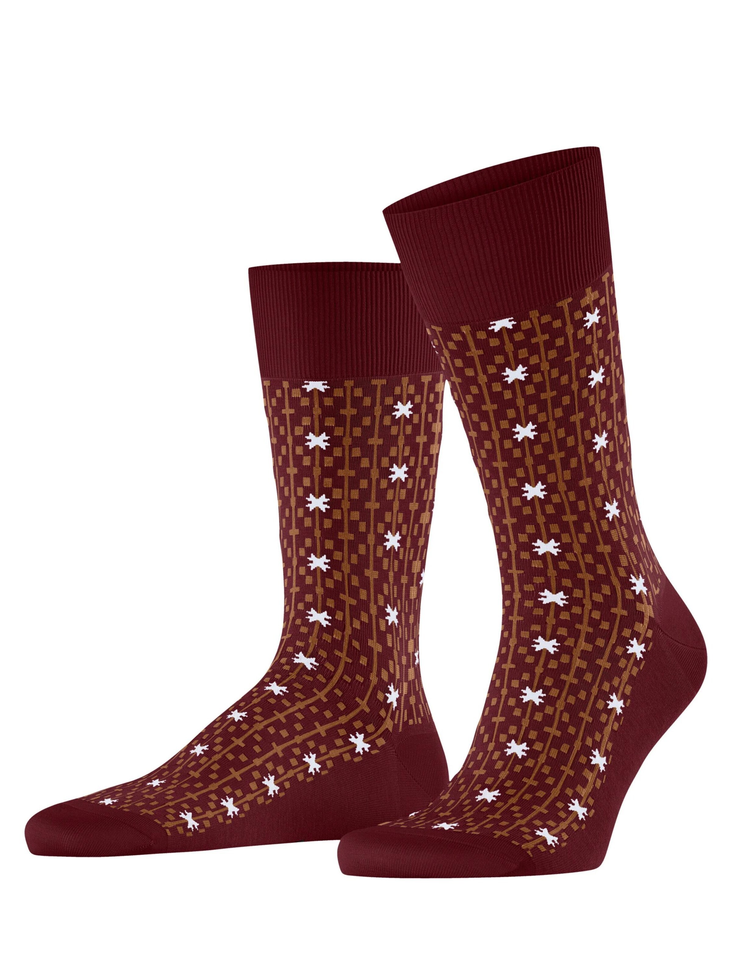 FALKE Socken 'Sun Touch'‌‌‌‌‌‌‌‌‌‌ in Rot: Vorderseite