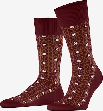 FALKE Socken 'Sun Touch' in Rot: Vorderseite