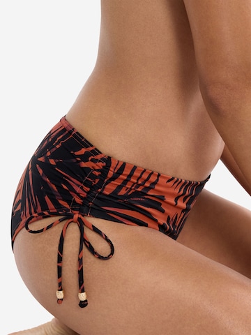 Bas de bikini ' Red Label Summer Palm ' TRIUMPH en marron