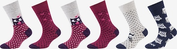 camano Socks in Mixed colors: front