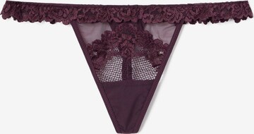 INTIMISSIMI Thong 'Pretty Flowers' in Purple: front