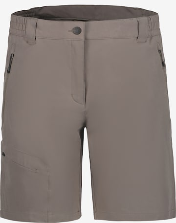 ICEPEAK Regular Outdoorshorts 'Beaufort' in Grau: Vorderseite