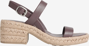 Sandales à lanières 'Beta' Calvin Klein en marron : devant