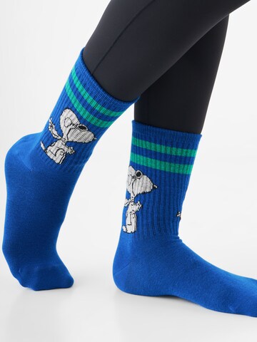 CODELLO Socks 'Peanuts' in Blue