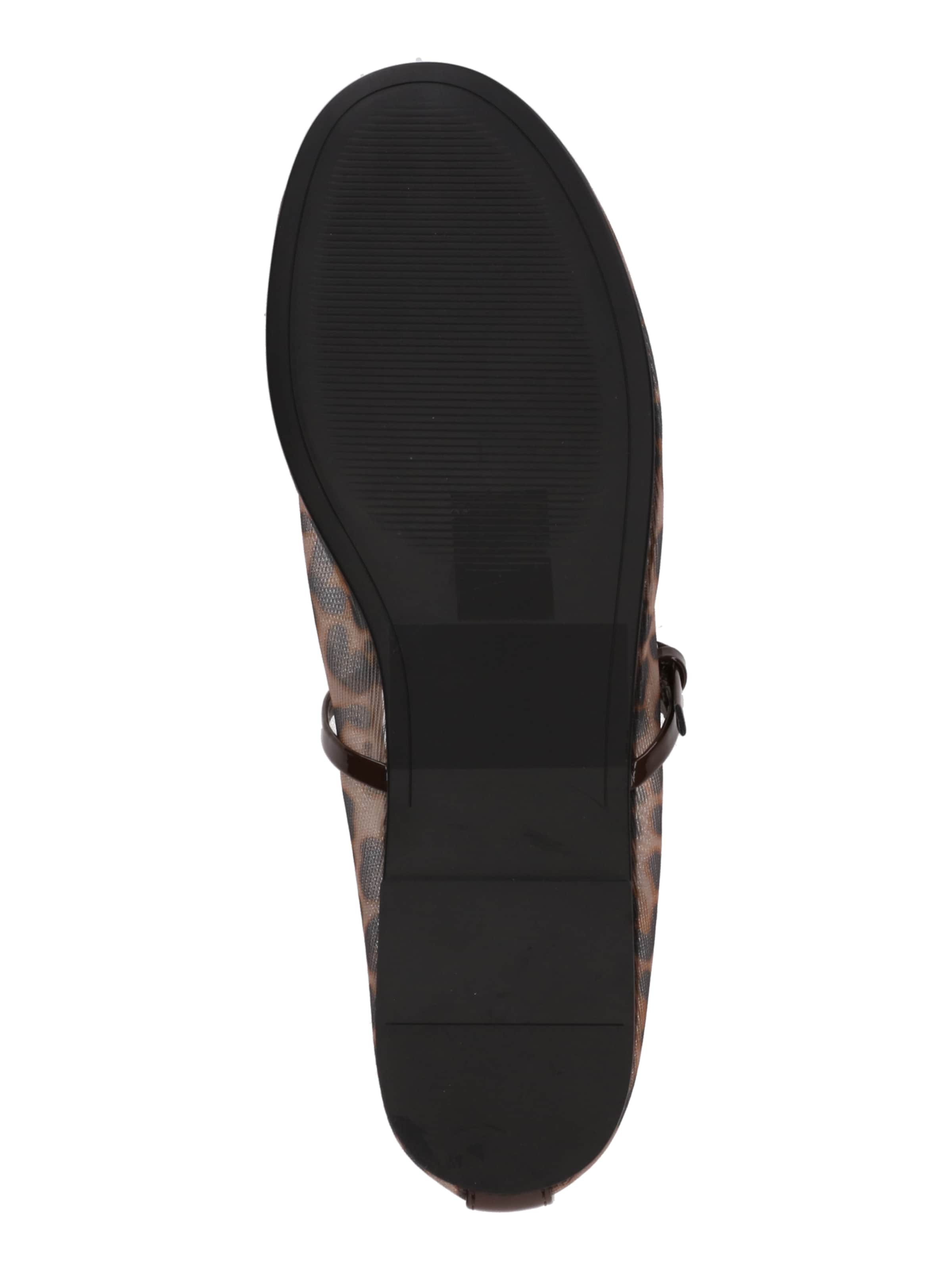 Ballerines à lanières 'Mash' STEVE MADDEN en marron