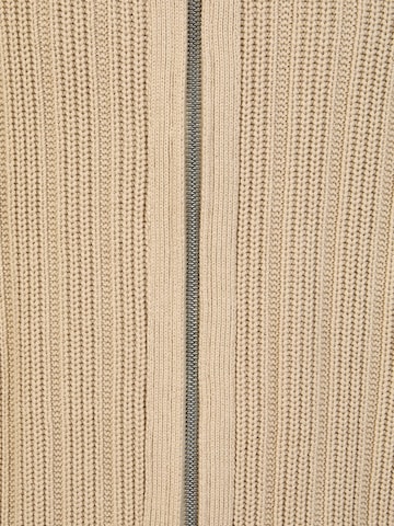 PIERRE CARDIN Gebreid vest in Bruin